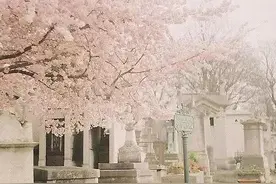 哪天是愚人节图片