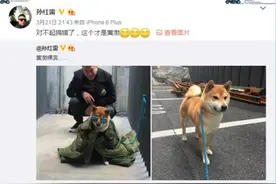 颜王孙红雷撞脸斗牛梗与黄渤默契自拍笑掉观众大牙图片
