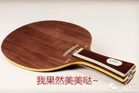 （新品谍照）牛人将300元的球板，改造成了千元的装备-国球汇图片