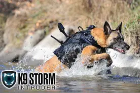 K9 storm 全球最酷的狗狗军用装备图片