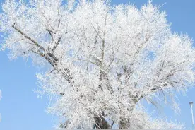经年之后，岁月已老，你是否还记得最初的心动？图片