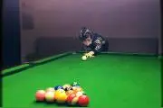 马可这么帅的小伙打个球还要包裹着那么严实，好心疼！图片