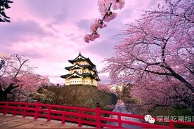 看樱花，不喝「花酒」怎么行？图片