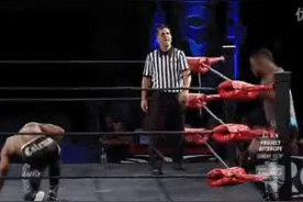 WWE摔角比赛爆炸全场招式！RKO虐杀王中王HHH！图片