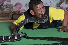 此男子竟敢生吞眼镜王蛇，看到他张嘴咬蛇头瞬间，心惊肉跳！图片