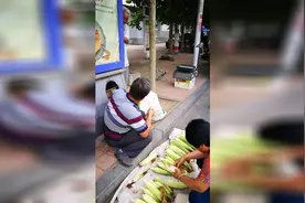 实拍农民大哥在路边卖自己种的嫩玉米视频封面