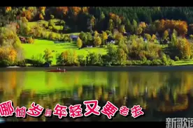 啥也不说了，一首《我已经爱上了你》默默送给你视频封面