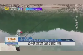 探钓襄阳前进水库，曾庆峰4.5米远投竿钓铧尖位，擒20斤大草鱼视频封面