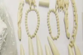 厨师非洲回国走私象牙 判刑四年罚款四万视频封面