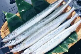 男子海边钓获尖嘴怪鱼，细长的身子，嘴巴像根针，做成刺身很美味视频封面