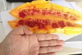 特大号恐怖如斯的水果，胆小的人不敢吃视频封面
