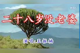 一首《二十八岁没老婆》唱出不少人的心声，句句现实视频封面