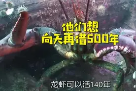 人类的平均寿命还能往上拔一拔吗？ #涨知识  #问答c计划 视频封面