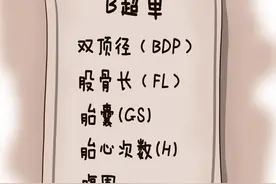 据说这是预测胎儿性别最准确的方法，真相在这里！图片