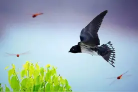 陪泰安人长大的儿歌，你还能唱几首?图片