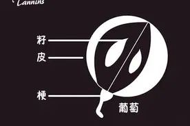 福州葡萄酒：什么葡萄酒能够陈年？图片