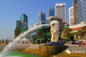 吃遍全球—新加坡不可错过的美味伴手礼图片