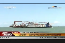 新闻制高点丨上海浦东：国家海洋经济创新发展示范城区获批视频封面