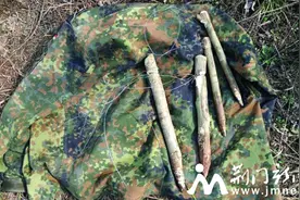 有人山坡上下套捕猎 一旦被套住后果不堪设想图片