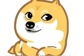 #享瘦春光# 听过很多道理，依旧不懂怎么穿？— 跑步穿戴最全攻略图片