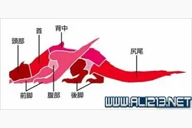 《怪物猎人Online》轰龙弱点、打法及注意事项图片