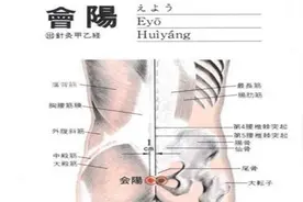 会阳穴穴位的准确位置图图片