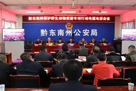黔东南州召开严厉打击破坏野生动物资源“利箭行动”电视电话会议图片