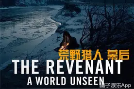 除了虐小李子，《荒野猎人》还讲了什么？图片