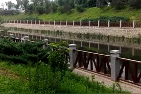 采盆七月里的金不换野菜来吃，清热还补血，来一盆视频封面