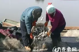 东营刁口乡海域迎来“开凌梭”渔汛 捕捞今春第一桶金图片