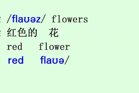 路边有很多花朵，flower/flauə/,看到花，你要用英语多表达，学习在于运用视频封面