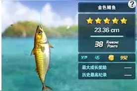 钓鱼发烧友怎么才能钓到五星鱼 捕捉技巧图片