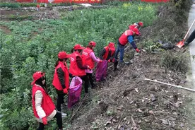 彭山社区志愿者：服务群众零距离图片