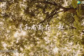 和赵雷的《成都》不一样！川大妹子为成都写了一首歌，刷爆朋友圈！图片