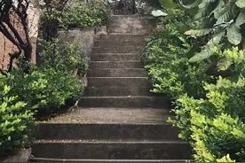 朱永龙：发展乡村旅游的致富带头人图片