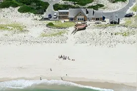 搞特权独享阳光海浪？美国新泽西州长身陷“沙滩门”图片