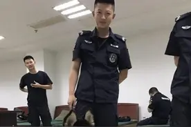 笑喷！二哈主动投奔警局想做警犬 可惜智商是硬伤图片
