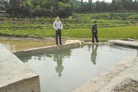邵阳县大兴村：“乌鸦田”变“凤凰田”图片