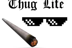 你不是真正的thug图片