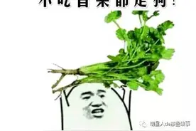 狗狗吃柠檬和榴莲以后，表情里都是戏！图片