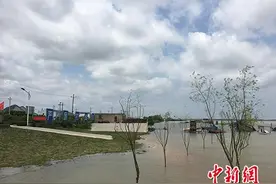 【共舞长江经济带】重拳整治非法码头的“彭泽经验”图片