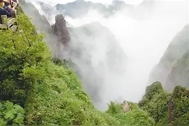 两岸记者探秘神农架图片
