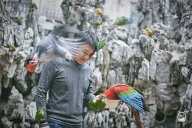 假如你变成了一只鹦鹉，你的世界就会是介个样子滴图片
