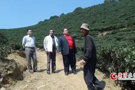 千官：副县长朱永通大力宣传农民企业图片