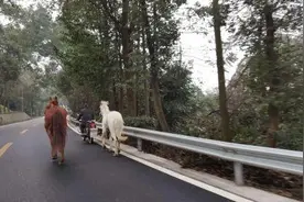 潇洒王大爷 摩托遛马图片