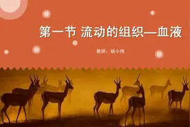 生物七年级下册人教版微课第四章第一节流动的组织-血液视频封面
