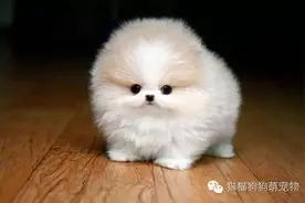 你们怎么这么可爱！图片