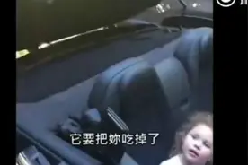 走近科学——时髦敞篷车为何吓哭小朋友？图片