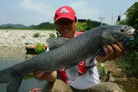 这才是钓鱼牛人！看完都不敢说自己会钓鱼！图片