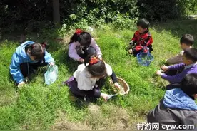 推荐｜西安挖野菜最全攻略图片